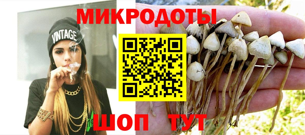 Саранск  закладки  Галлюциногенные грибы Magic Shrooms  Вход с VPN  Псилоцибиновые грибы Magic Shrooms 