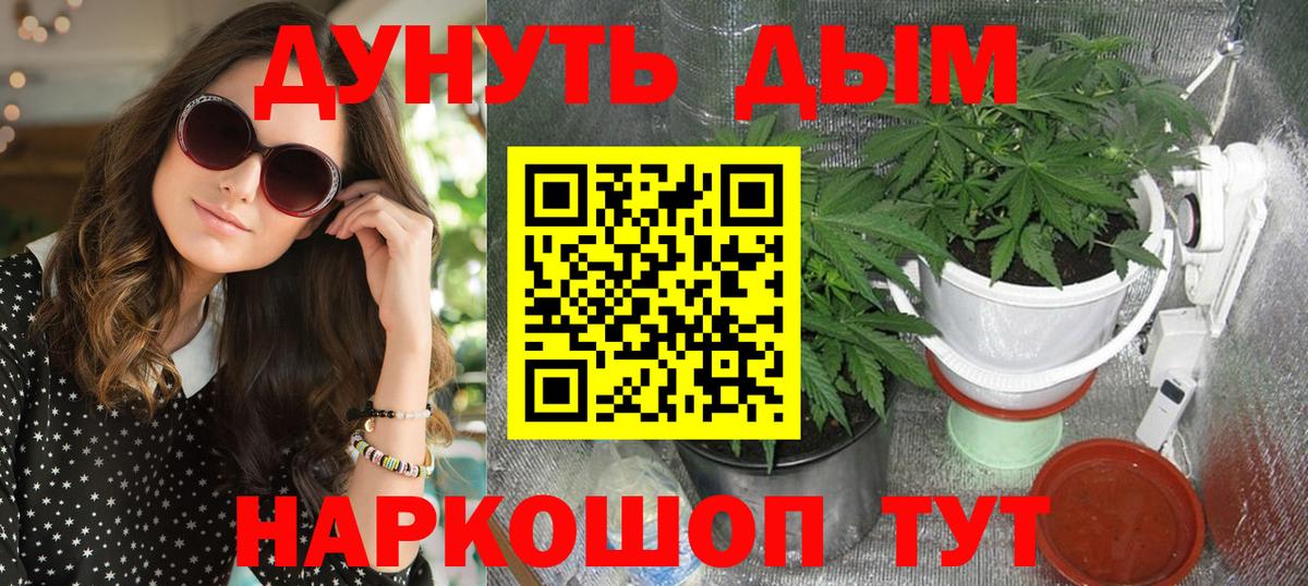 Шишки марихуана планчик Саранск